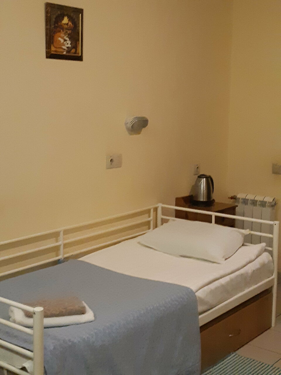 Гостиница Одиссея Рязань-238