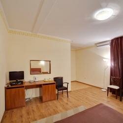 Гостиница Одиссея Рязань-99