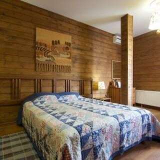 Гостиница Одиссея Рязань Стандарт с двуспальной кроватью-5