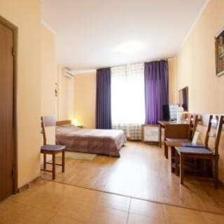 Гостиница Одиссея Рязань Стандарт с двуспальной кроватью-4