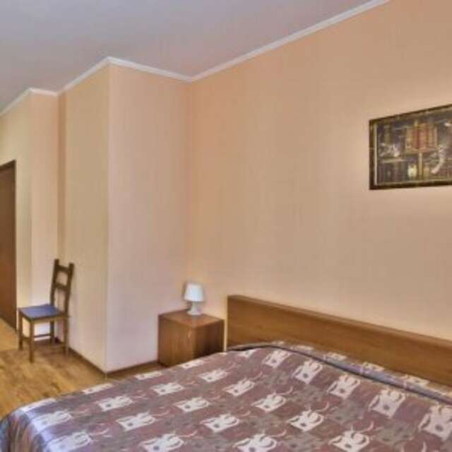 Гостиница Одиссея Рязань-81